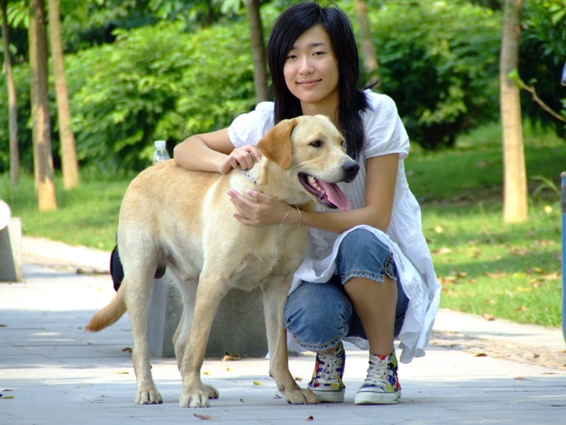 风中的绿叶的第一张照片--沈阳相亲服务中心