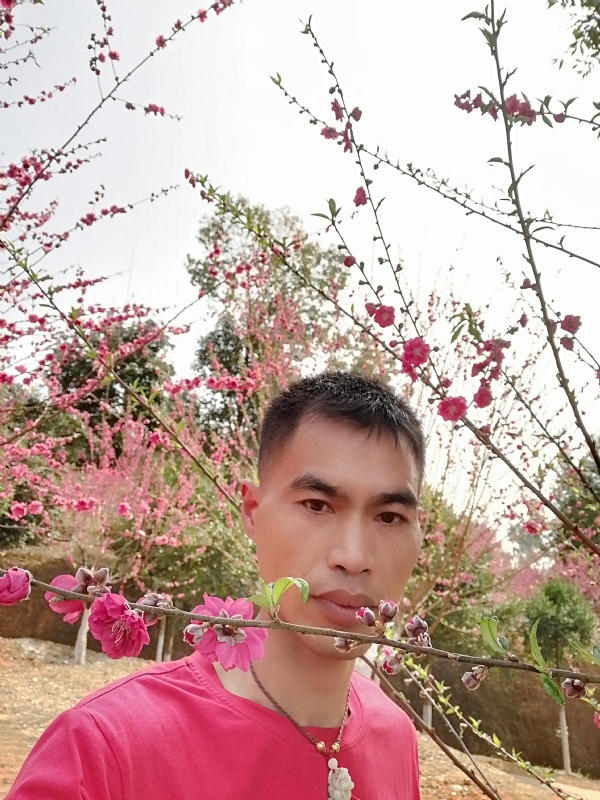 惜緣的第一张照片--沈阳相亲服务中心