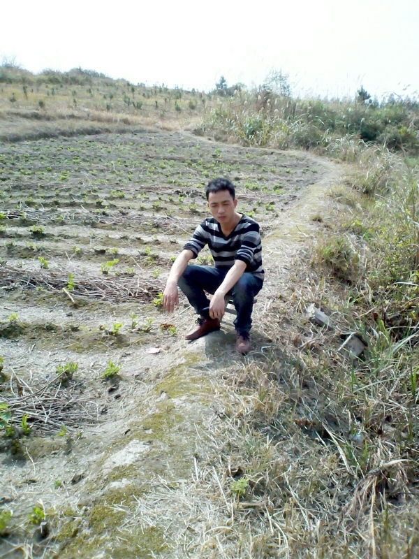 你好的第一张照片--沈阳相亲服务中心