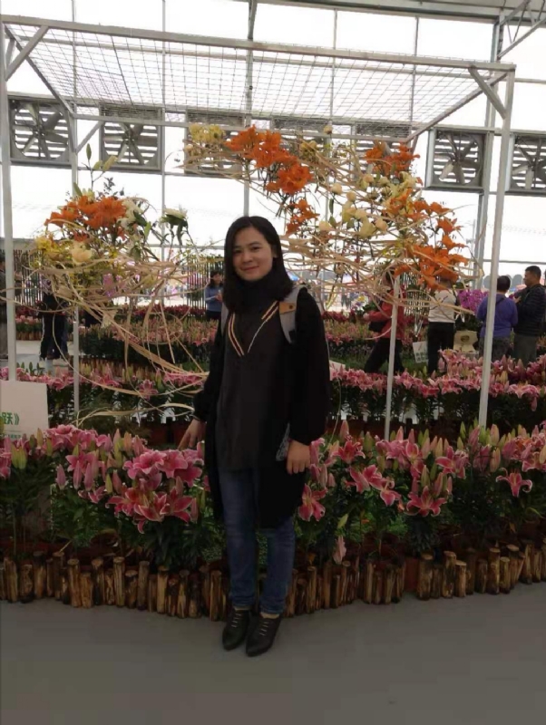 紫苏的第二张照片--沈阳相亲服务中心