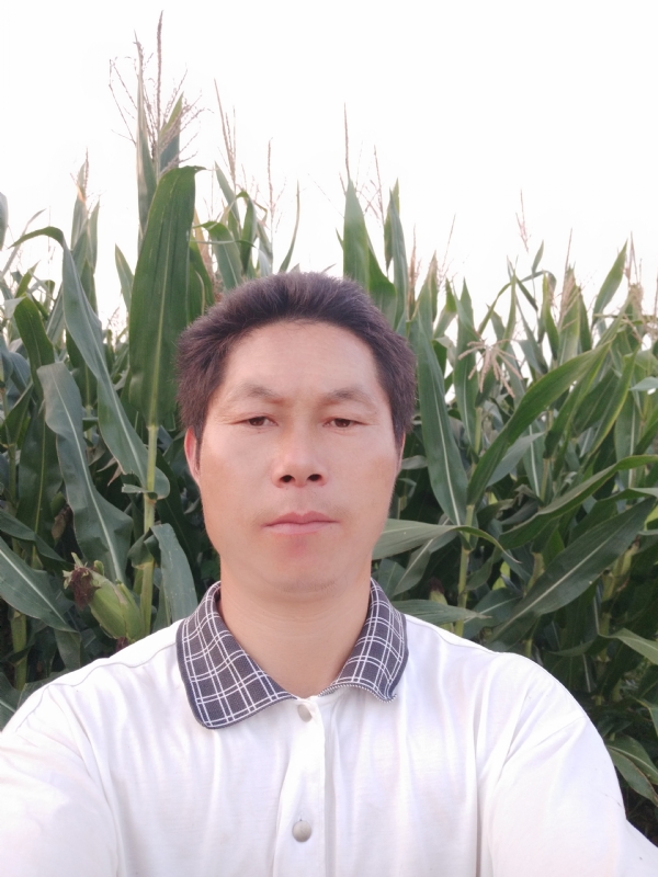 四海游龙的第一张照片--沈阳相亲服务中心