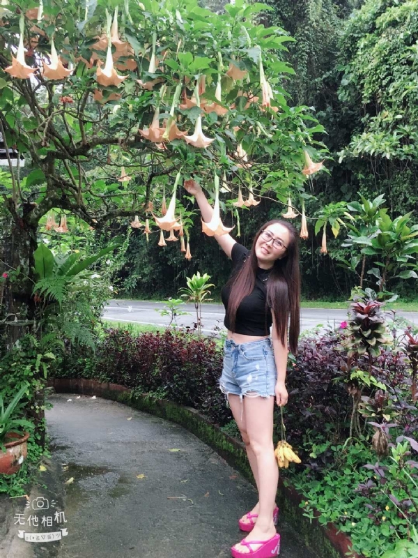 离异单身无子的第二张照片--沈阳相亲服务中心