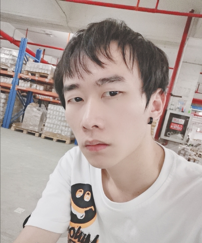 巷子里的猫的第一张照片--沈阳相亲服务中心