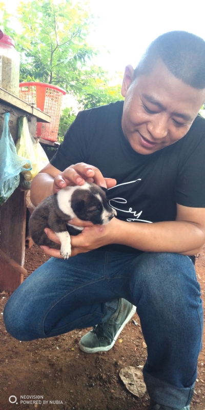 深圳相亲的第一张照片--沈阳相亲服务中心