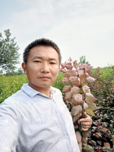 孩子爸的第二张照片--沈阳相亲服务中心