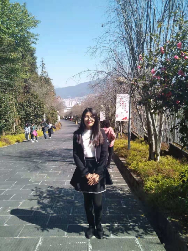 窗台上的桔梗的第一张照片--沈阳相亲服务中心