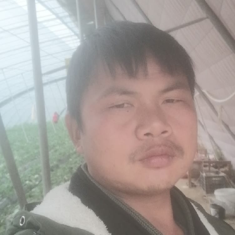 孤狼‘的第一张照片--沈阳相亲服务中心