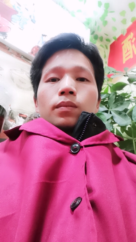 单身的林凡的第二张照片--沈阳相亲服务中心