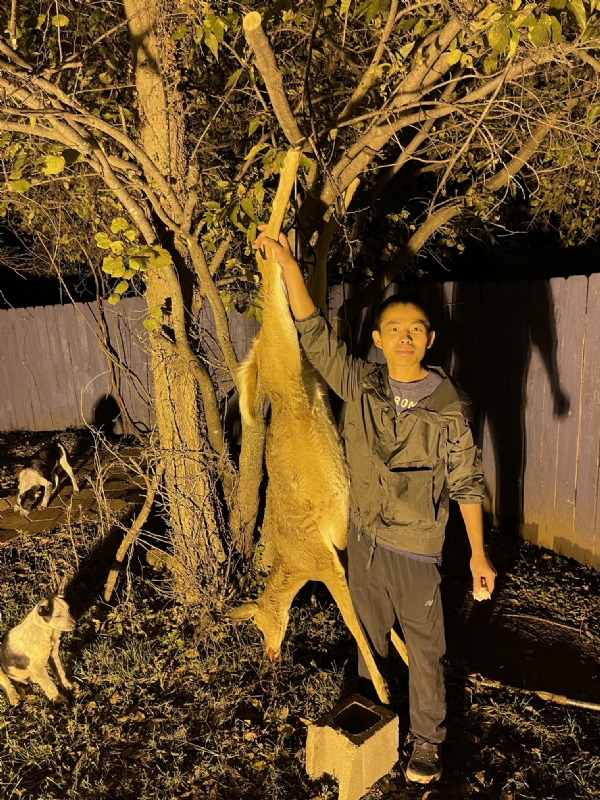 Kandy的第三张照片--沈阳相亲服务中心