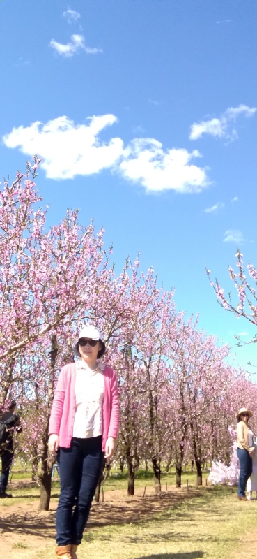 Grace的第二张照片--沈阳相亲服务中心