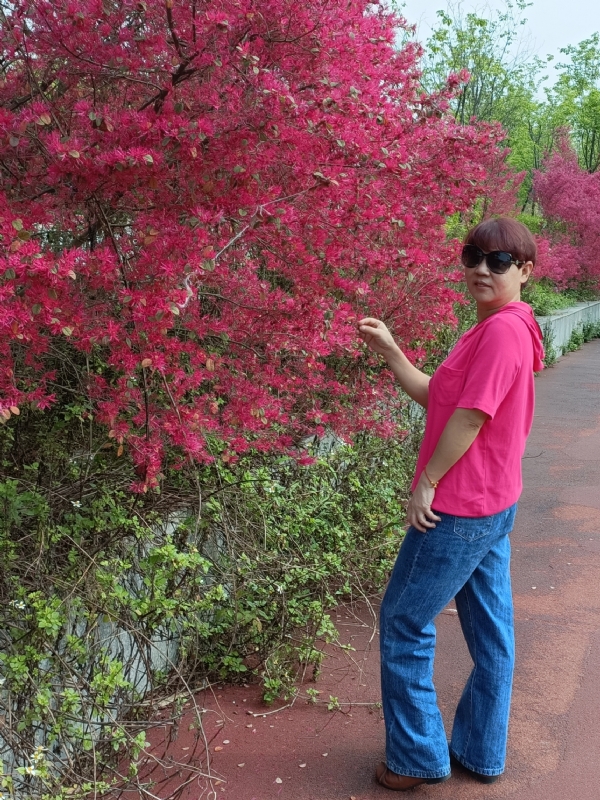 羊羊的第一张照片--沈阳相亲服务中心