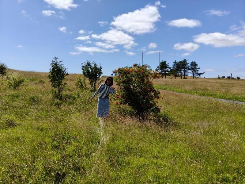 秋蝉的第一张照片--沈阳相亲服务中心