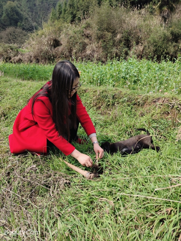 下一个春和秋的第一张照片--沈阳相亲服务中心