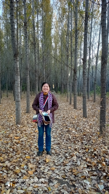 小海星的第二张照片--沈阳相亲服务中心