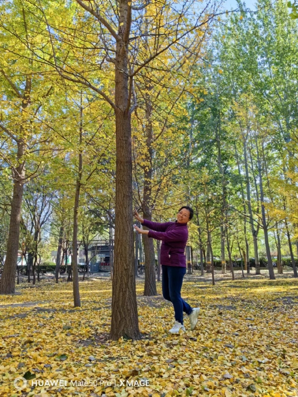 Shirley的第二张照片--沈阳相亲服务中心