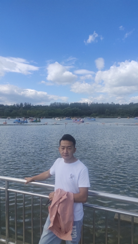 脱了壳的龟的第一张照片--沈阳相亲服务中心