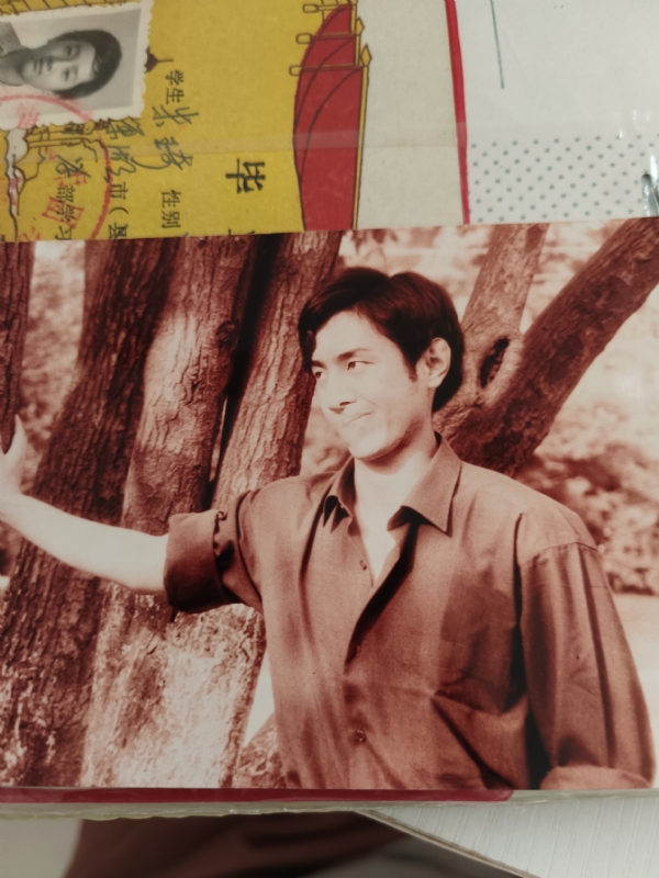 朱琦的第五张照片--沈阳相亲服务中心