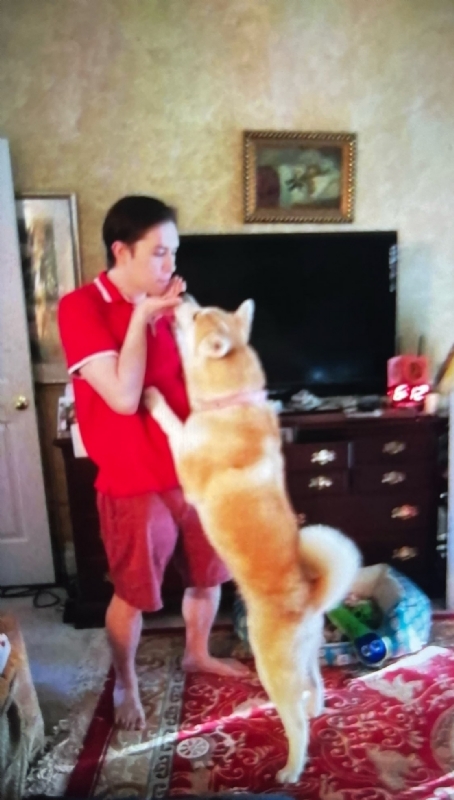 Leluch的第一张照片--沈阳相亲服务中心