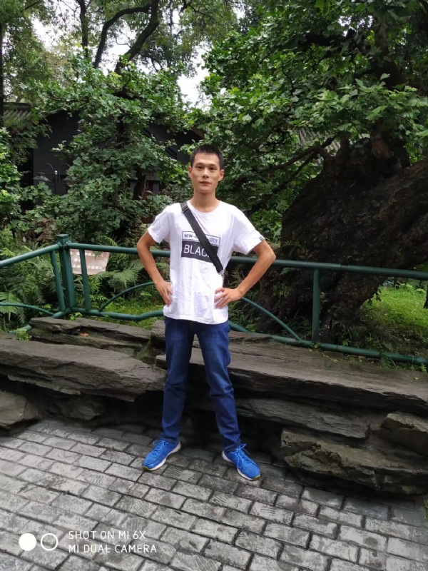 会飞的猪的第一张照片--沈阳相亲服务中心