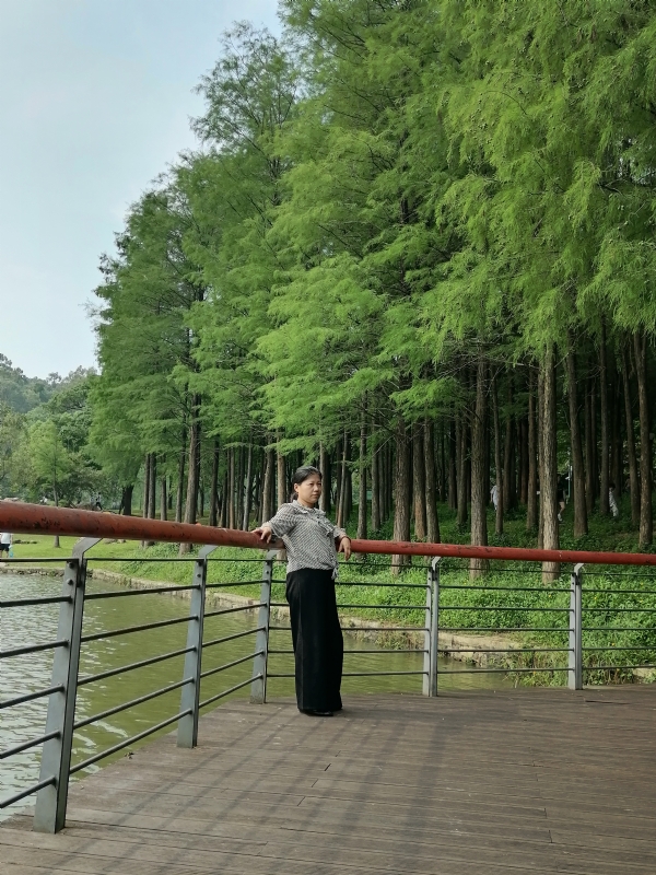 遗失的记忆的第二张照片--沈阳相亲服务中心