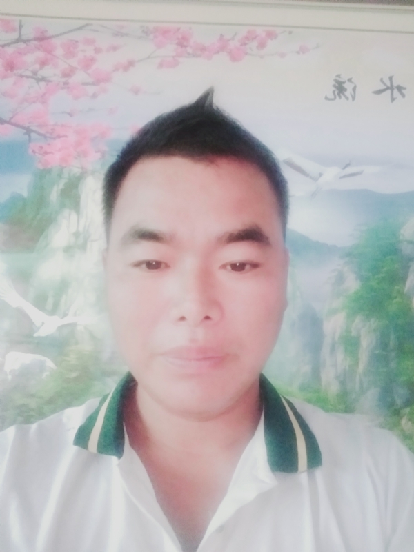 阳光男孩的第二张照片--沈阳相亲服务中心