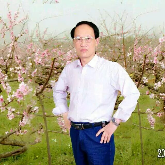 枫叶的第一张照片--沈阳相亲服务中心