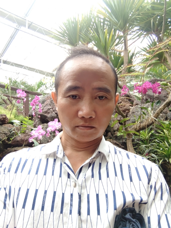 闲云盘鹤的第一张照片--沈阳相亲服务中心