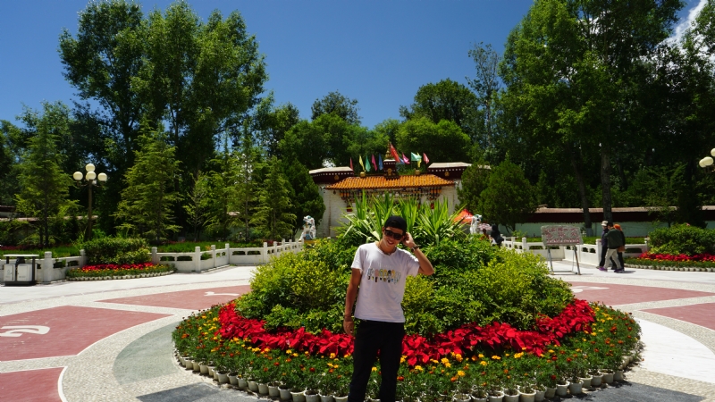 阿龙设计师的第四张照片--沈阳相亲服务中心