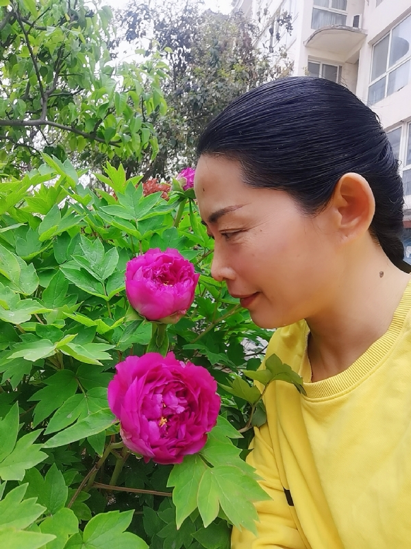 厚德载物的第一张照片--沈阳相亲服务中心