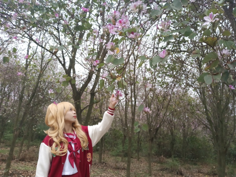 暮秋的第一张照片--沈阳相亲服务中心