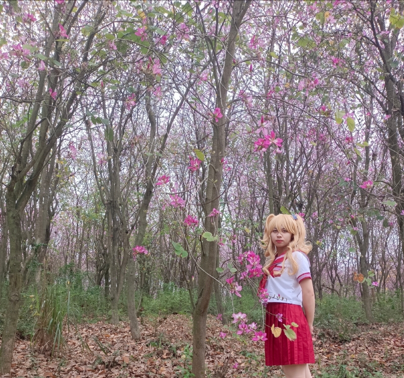 暮秋的第三张照片--沈阳相亲服务中心