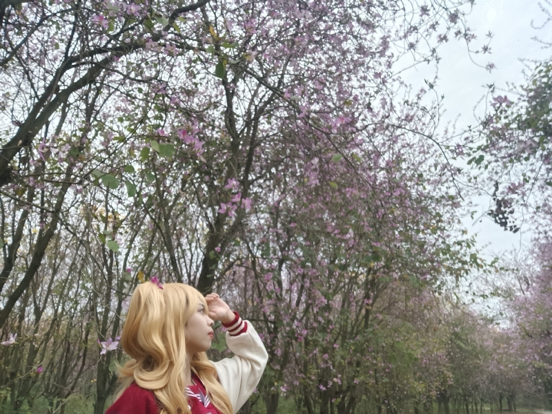 暮秋的第五张照片--沈阳相亲服务中心