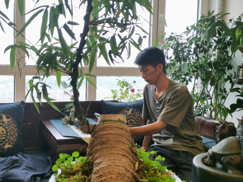 成个家的第一张照片--沈阳相亲服务中心